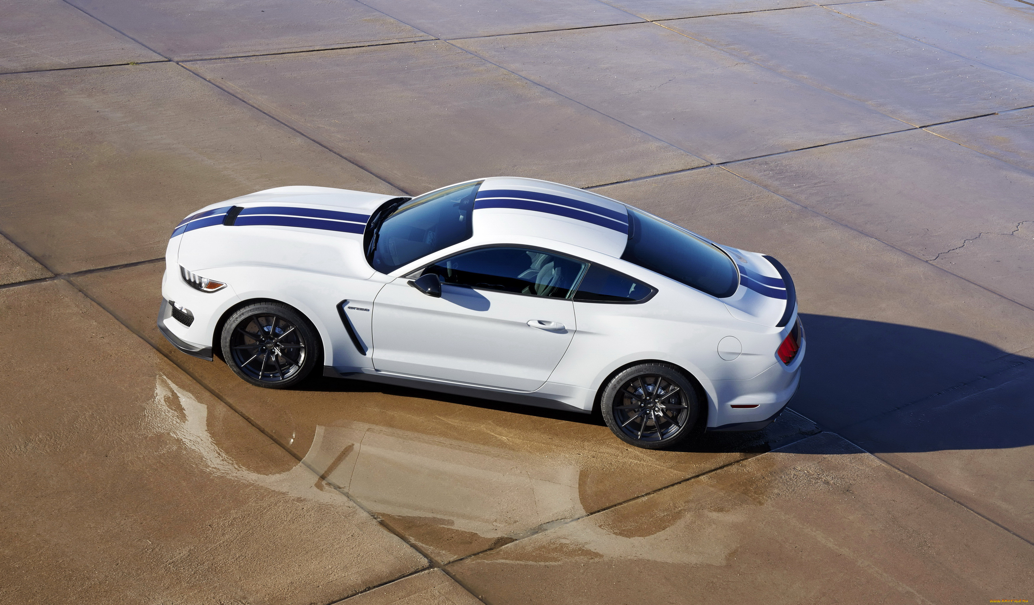 2015 ford mustang shelby gt350, , mustang, ford, , , shelby